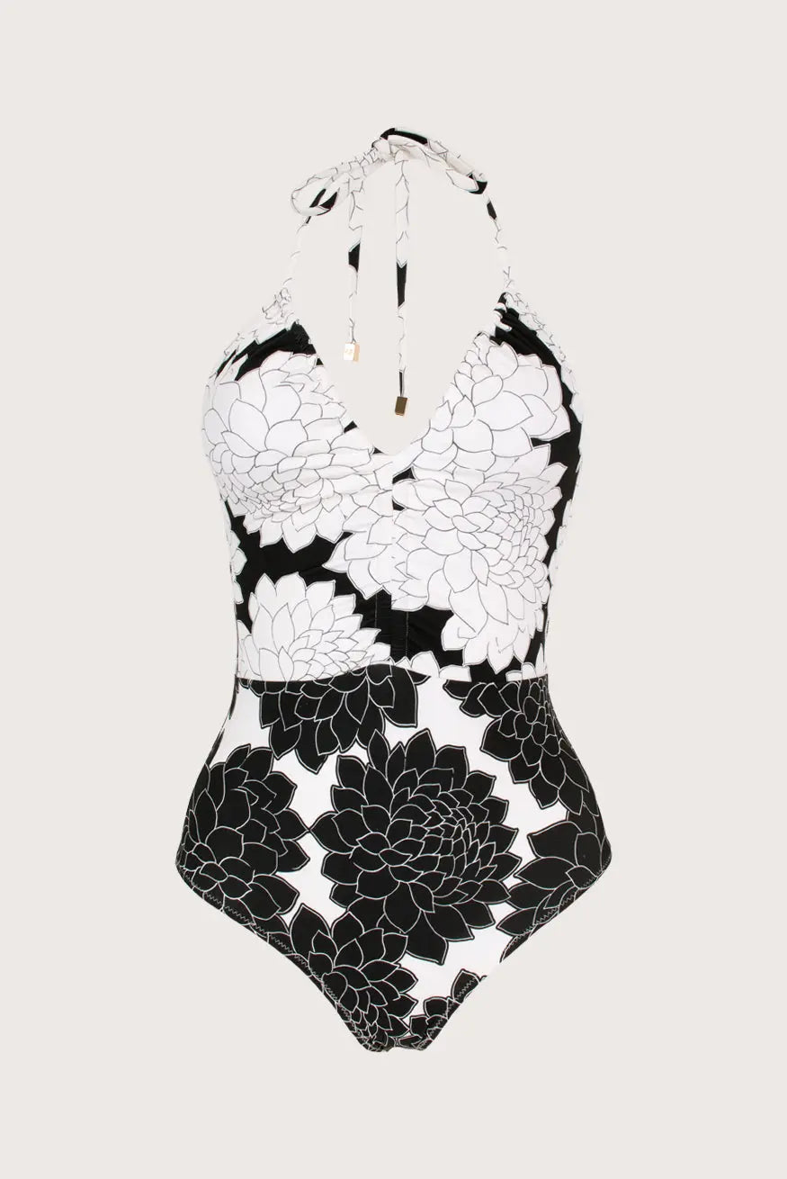 ENTERO CON JARETA TIDE Zingara