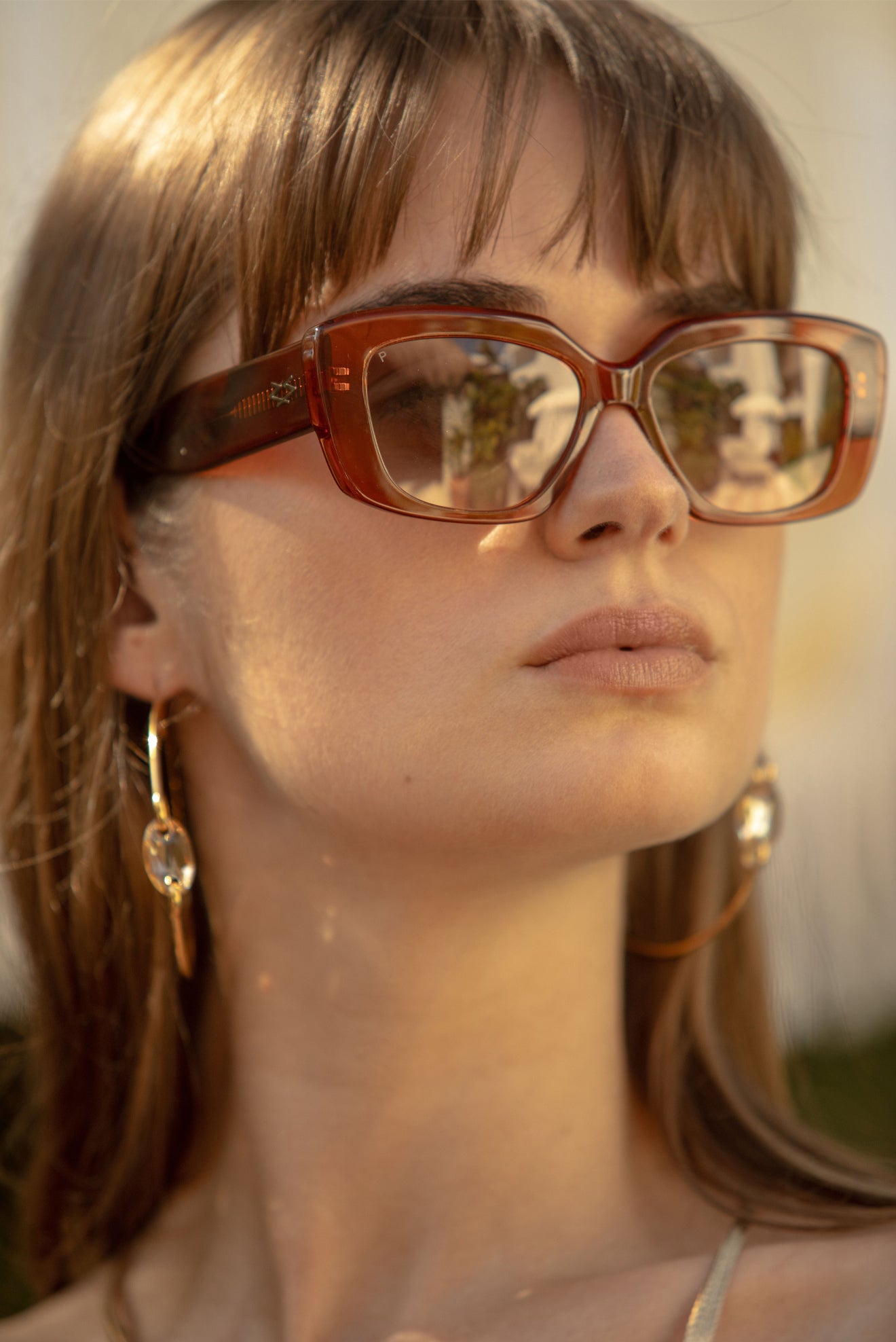 Murray Glasses - Geometric - Translucent Brown