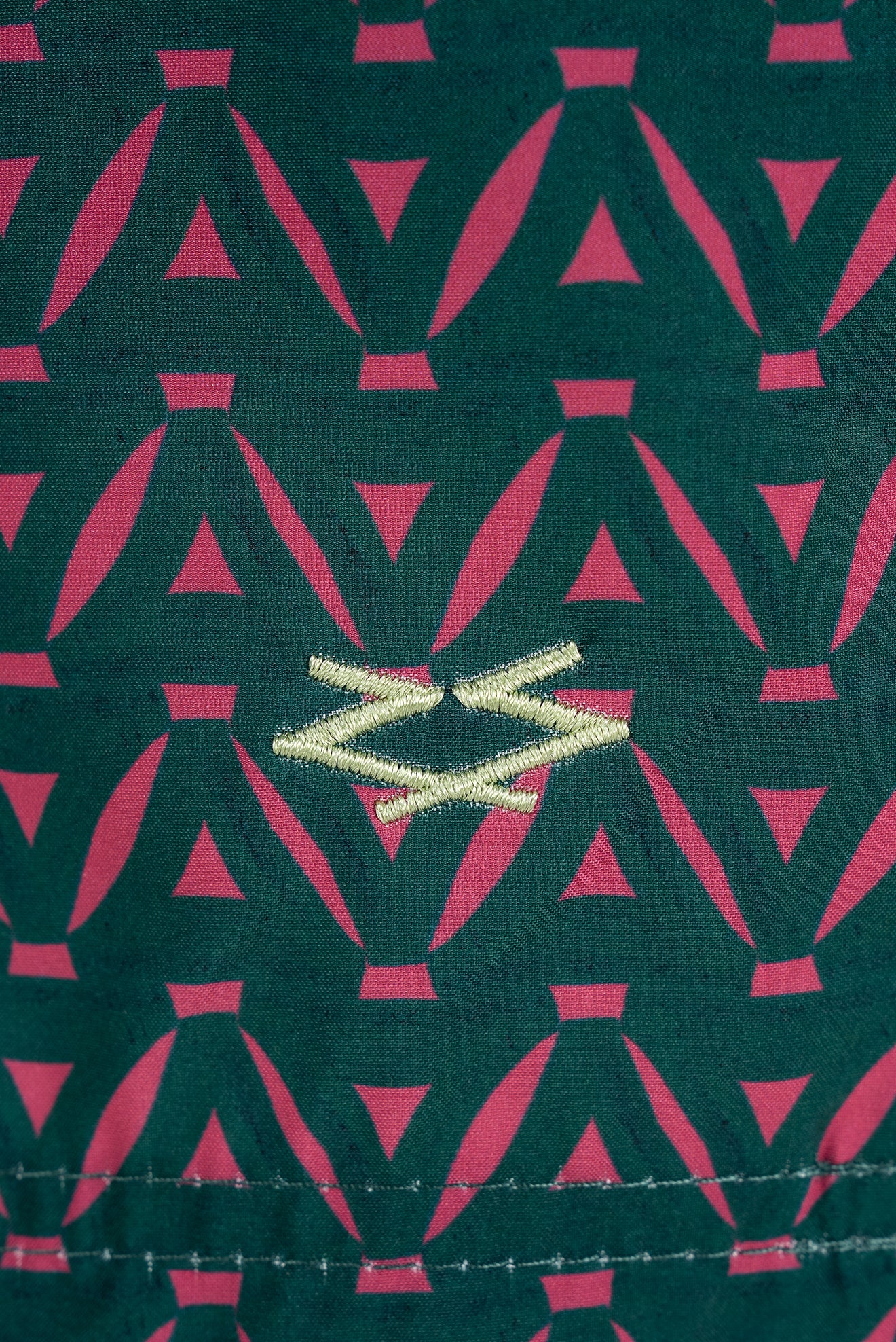 Troyes Men's Swim Shorts